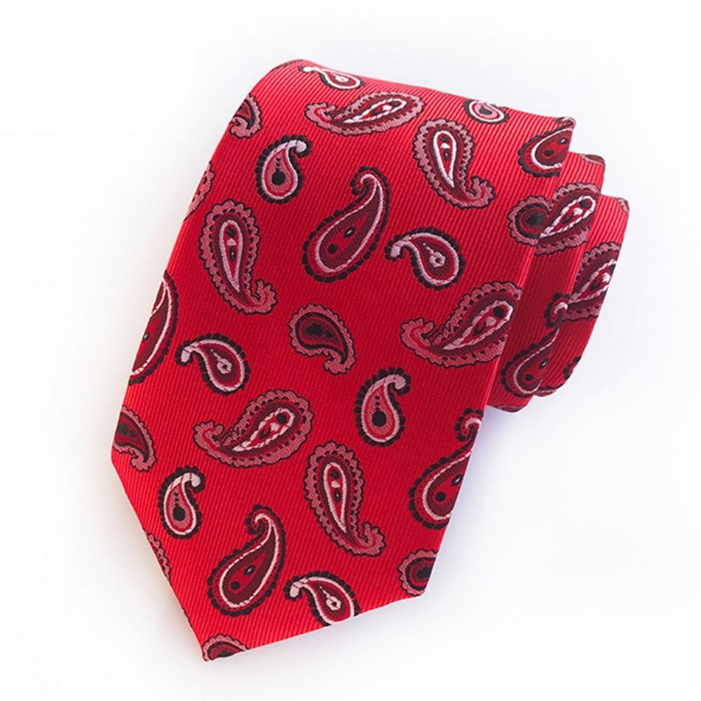 Bedrijven Paisley Tie For Man