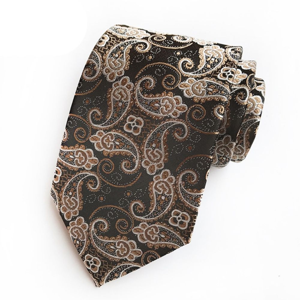 Bedrijven Paisley Tie For Man