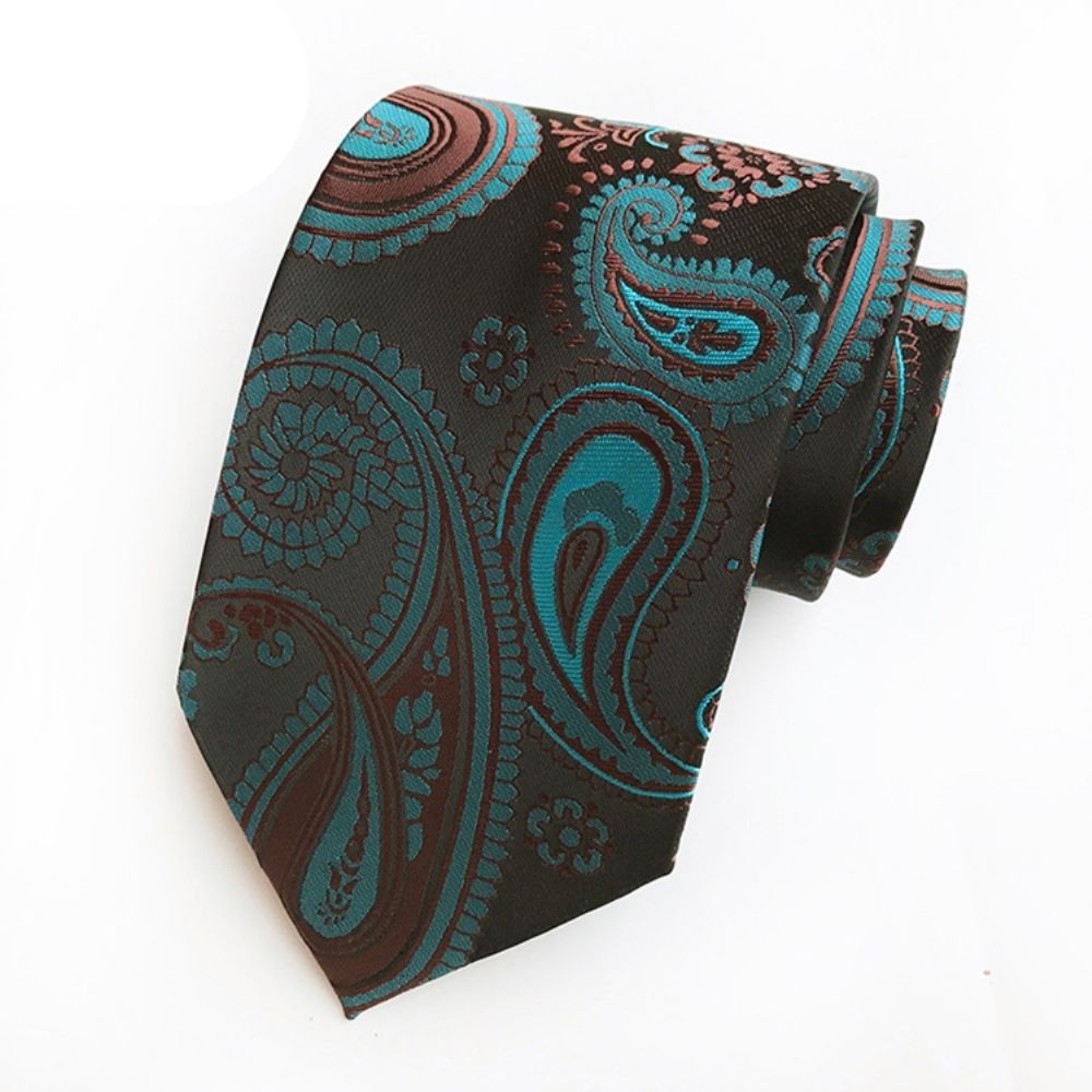 Bedrijven Paisley Tie For Man