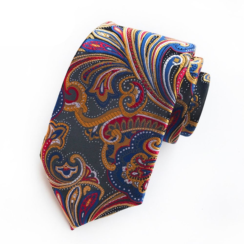 Bedrijven Paisley Tie For Man