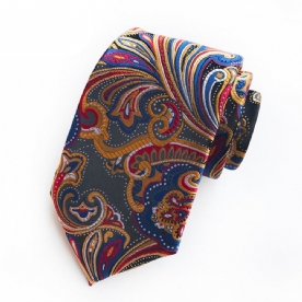 Bedrijven Paisley Tie For Man