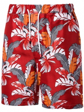 Casual Herenshorts Met Print Plantaardige Casual Veters