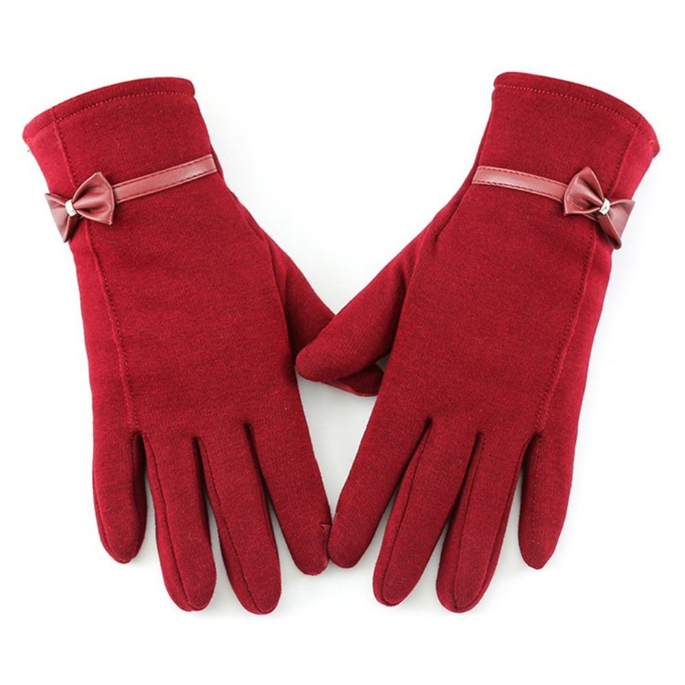 Eenvoudige Winterhandschoenen Met Strik