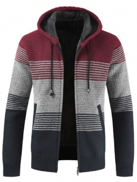 Patchwork Hooded Standard Zipper Fall Sweater